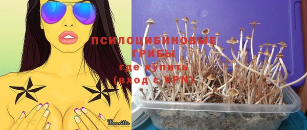 эйфоретик Семилуки