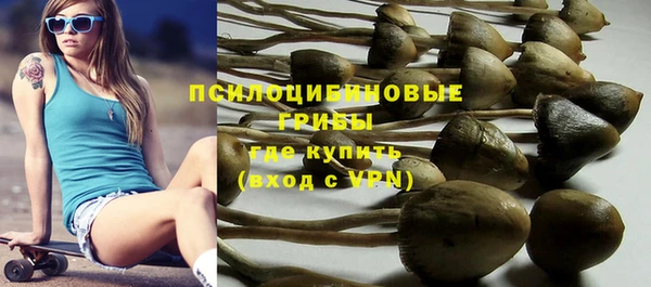 тгк Балахна