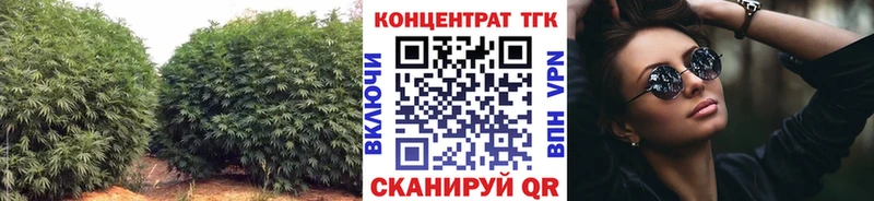мега tor Пойковский Дистиллят ТГК жижа