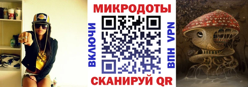 Псилоцибиновые грибы Psilocybe  Пойковский 